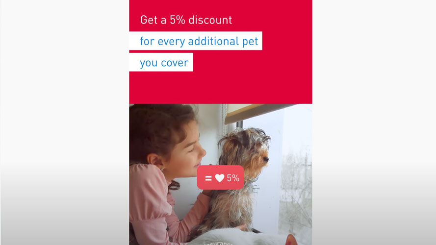 Medibank Pet Insurance